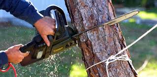 Best Weed Control  in South Fallsburg, NY