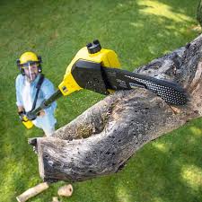 Best Grass Overseeding  in South Fallsburg, NY