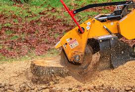  South Fallsburg, NY Tree Removal Pros